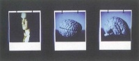 Daniel Blaufuks, Auto- Retrato (Cérebro), da série O Livro do Desassossego, 1996 Daniel Blaufuks, Auto- Retrato (Cérebro), da série O Livro do Desassossego, 1996